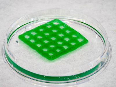 Material vivo limpa água contaminada e se autodestrói