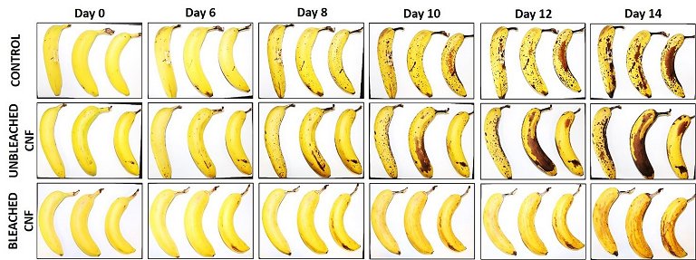 Verniz ecológico aumenta vida útil de frutas e vegetais gerador alterima baixa rotação 600/1.200 RPM