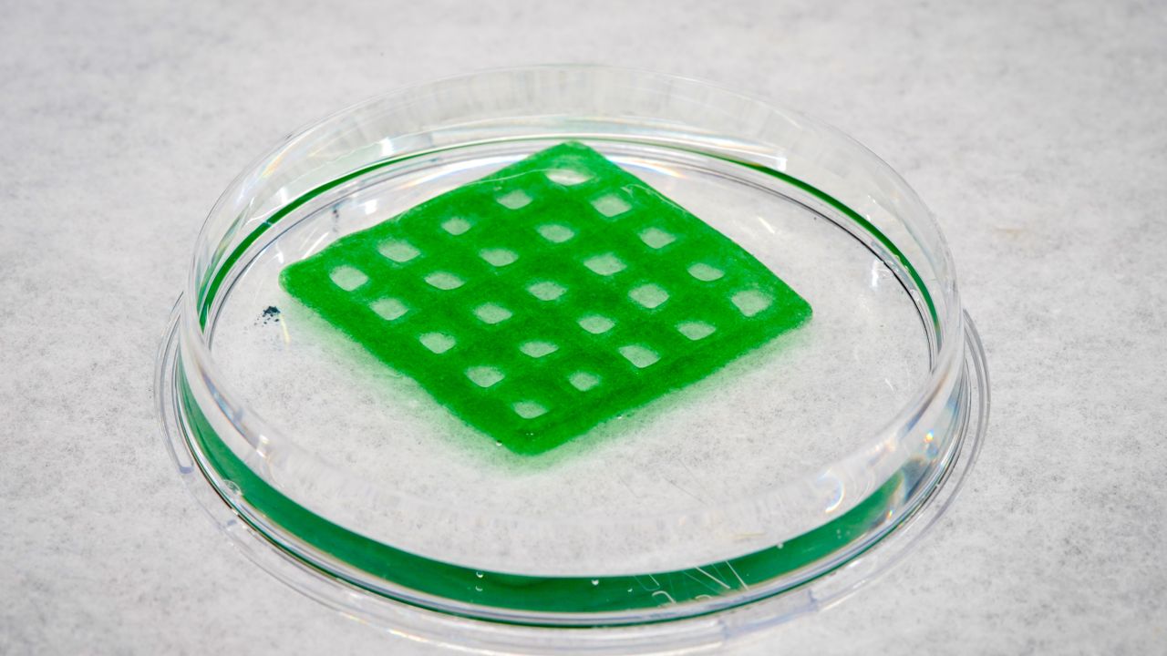 Material vivo limpa água contaminada e se autodestrói