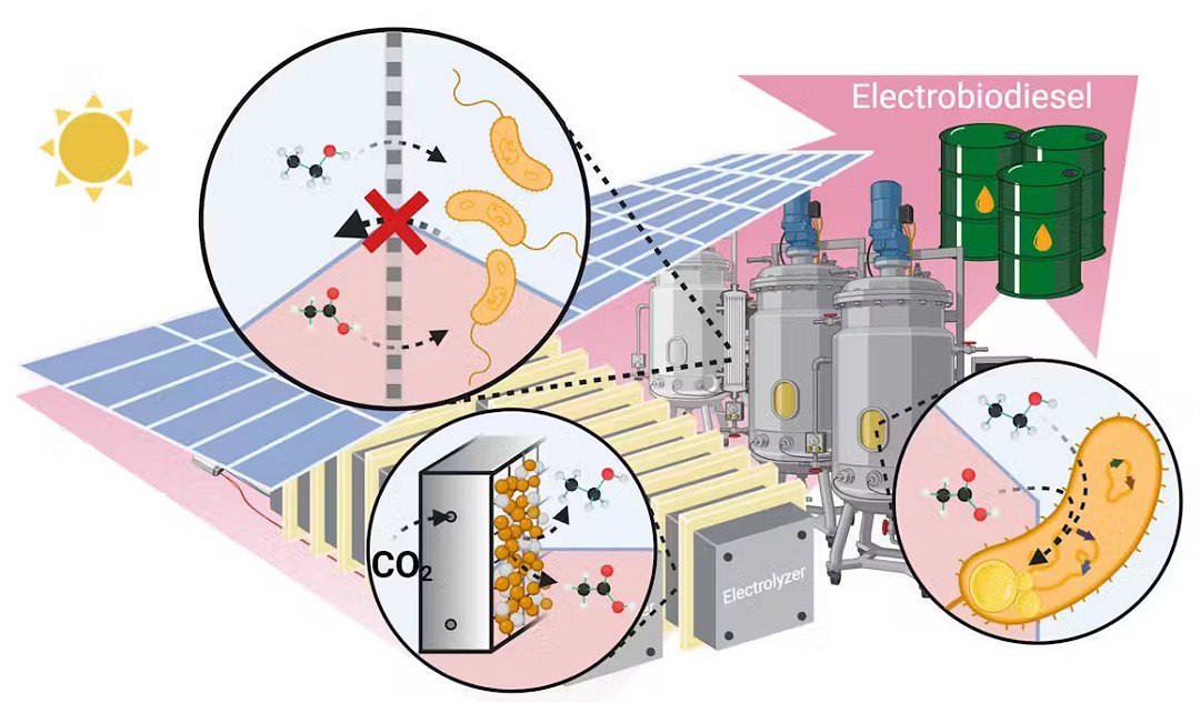 Conheça o eletrobiodiesel alterima micro central hidreletrica um biocombustível mais eficiente e mais limpo